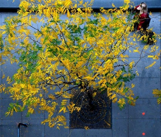 Illustration for article titled Shooting Challenge Fall Leaves Gallery 1